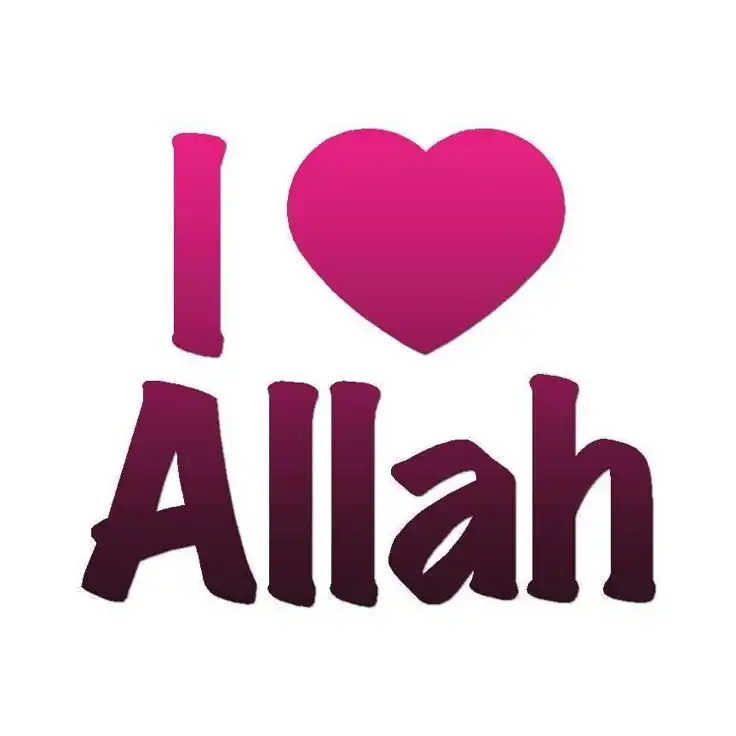 i love allah dp girl i love allah dp girl